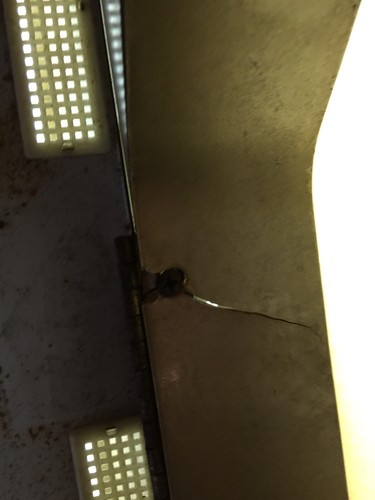 Vintage Hamms Beer Sign 1950s BREWERIANA Lighted Original Gold Lion RARE LARGE