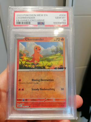 Foto dell'oggetto di un acquirente verificato