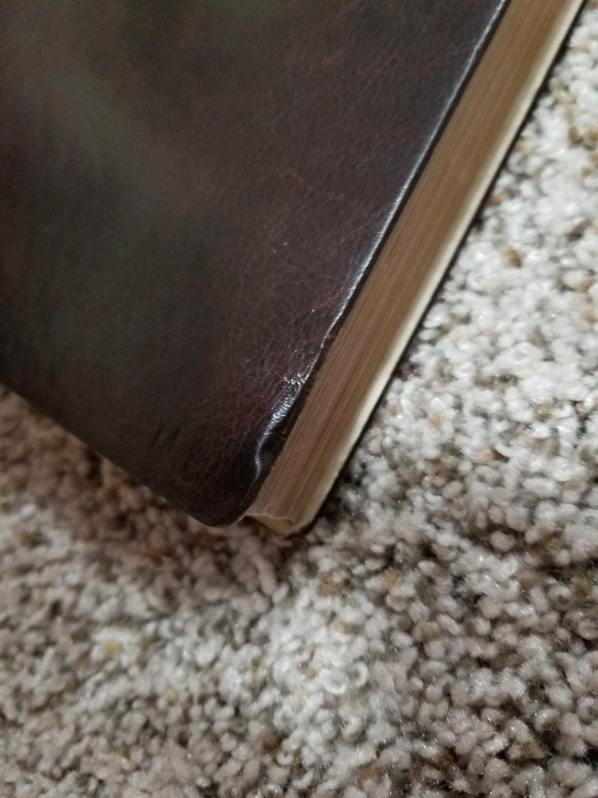 THE IMPROVED EMPEROR'S GUIDE TO TAMRIEL ONLINE SKYRIM ART BOOK