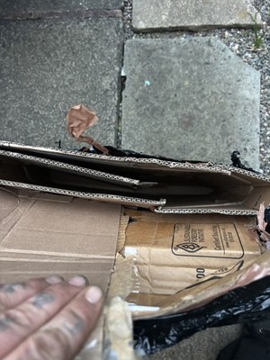 Artikelfoto(s) von einem verifizierten Käufer