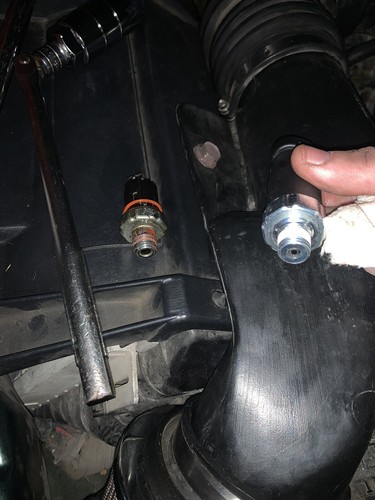 Fotos del artículo de un comprador verificado