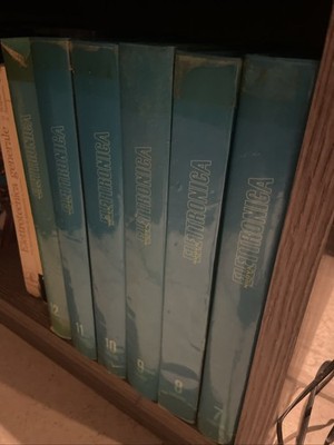 Foto dell'oggetto di un acquirente verificato