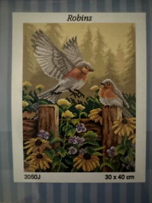 Printed needlepoint tapestry Canvas Only Robbins 30x40 cm