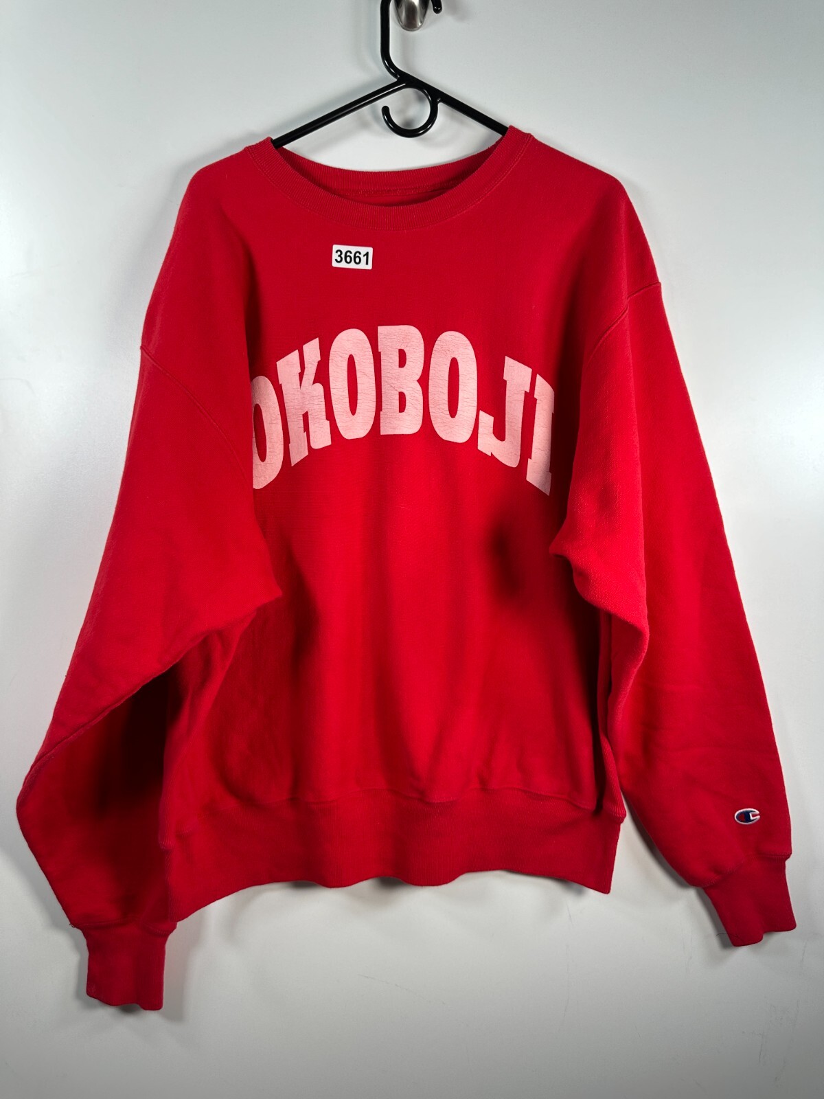 Champion リバースウィーブ　OKOBOJI Vtg Champion Reverse Weave Okoboji Mens Pullover Graphic