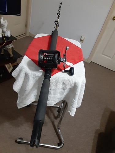 Boat Trolling Rod Offshor Angler 5'6