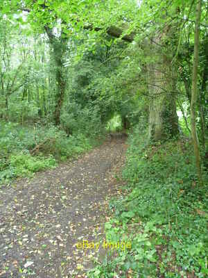 Photo 12x8 Byway near Ham Farm The area east of Meopham feels incredibly r c2011