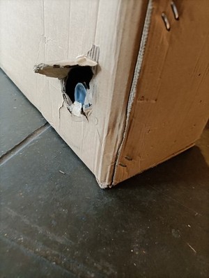 Item photo(s) from verified buyer