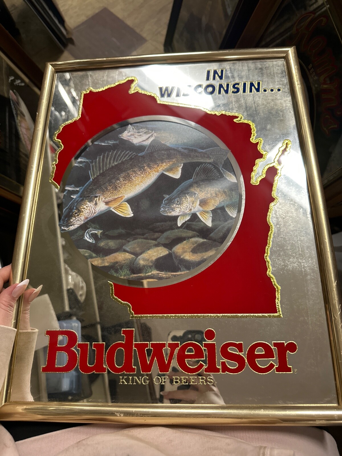 $_57.JPG?set_id=880000500F