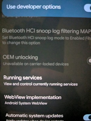 Photos de l'objet d'un acheteur vérifié