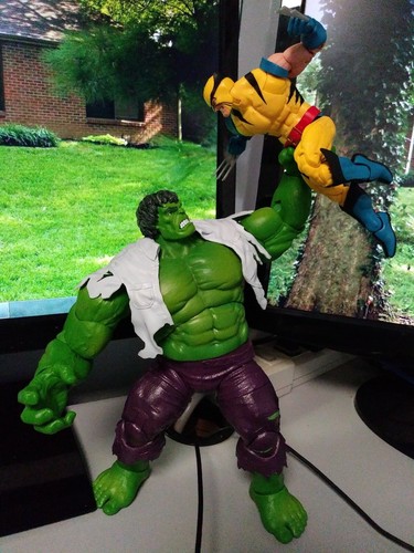 【chicken】ウルヴァリン & ハルク　80周年　マーベルレジェンド Marvel Legends ~ WOLVERINE & HULK EXCLUSIVE FIGURE SET