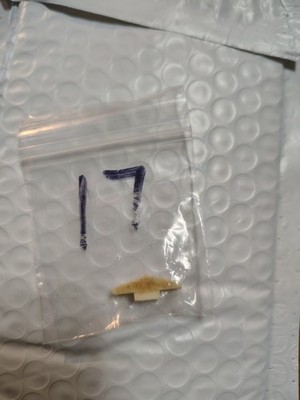 Item photo(s) from verified buyer