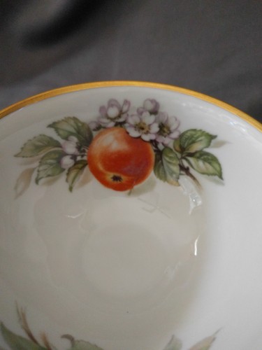 P T Tirschenreuth Tea Cup Saucer White Gold Trim Orange Blossoms Germany