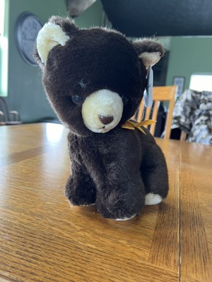Dae Woo California Stuffed Bear with tags