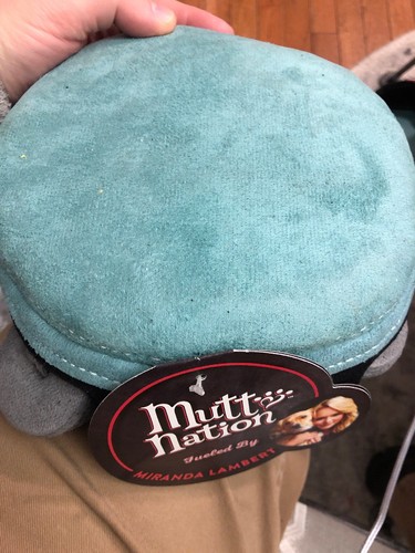 Mutt Nation Durable LEATHER Squeak Dog Toy Turquoise Miranda Lambert