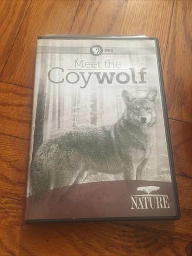 Nature: Meet the Coy Wolf (DVD) PBS Series Part Coyote Wolf