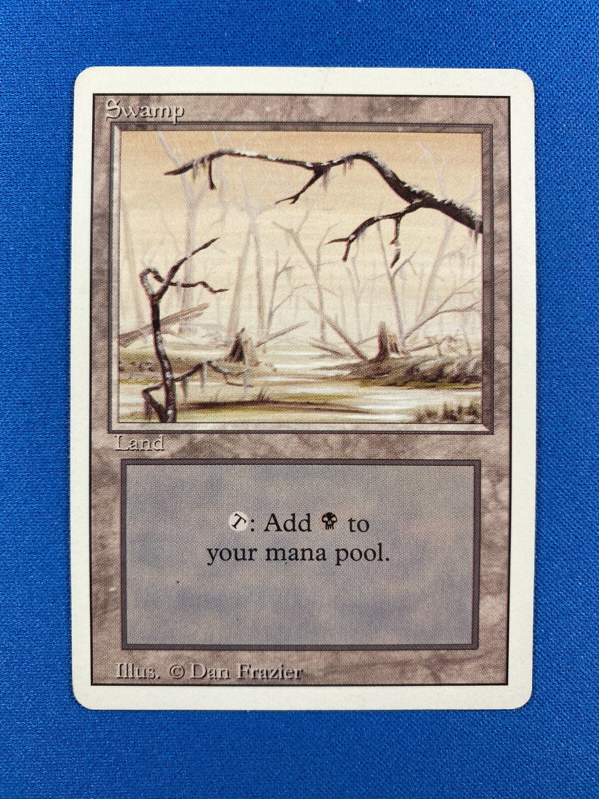 MTG SLP 0033 沼 / Swamp Foil Magic Con B MTG SLP 0033 沼 / Swamp Foil Magic Con B Swamp Promo