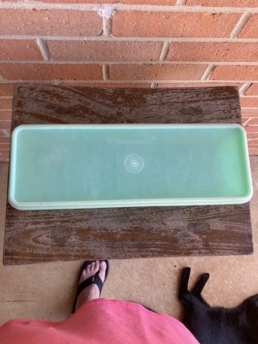 Vintage Tupperware Jade Green Celery Crisper Keeper 892-1