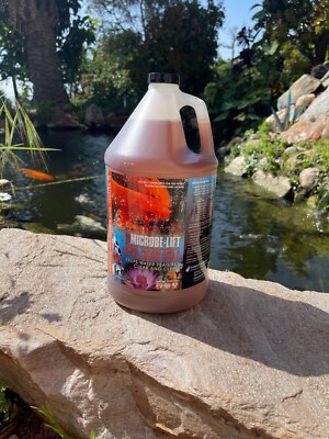 Microbe-Lift Liquid PL Friendly Bacteria Gallons SUMMER SALE FREE SHIP