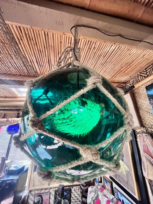 NEW Turquoise Glass Float W/Real Pufferfish Green LED Bulb Tiki bar Decor