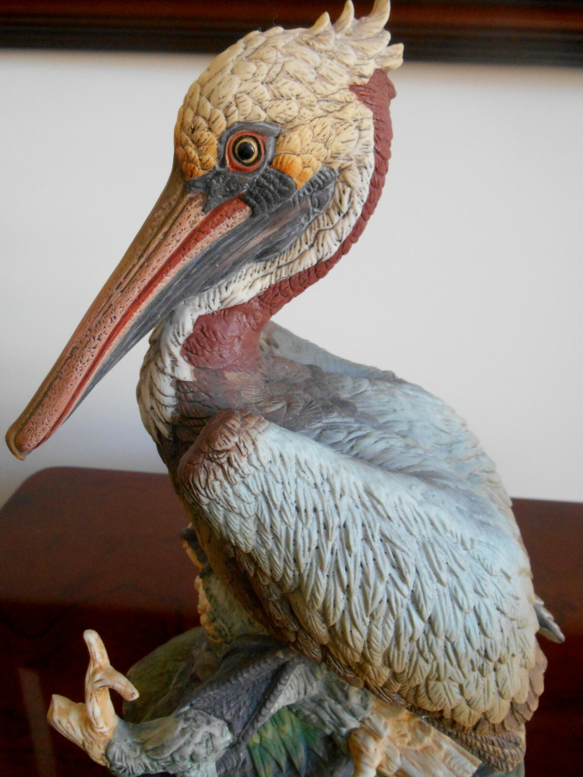 Brown Pelican Andrea by Sadek  #9520 Large