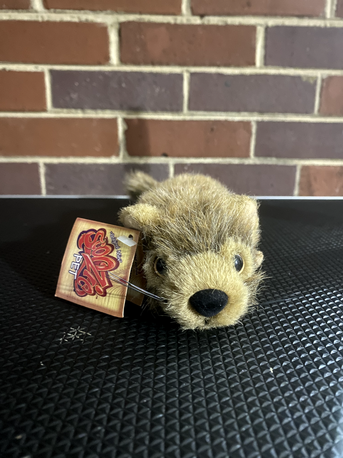 Collectable Scoozie Pet Limited Edition Mini Baby Pine Marten Stuffed Animal