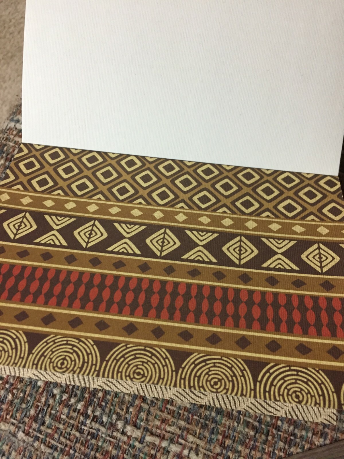 (2) Cardstock Paper Packs Pre-Owned (Safari Chic and Birthday Extravaganza)