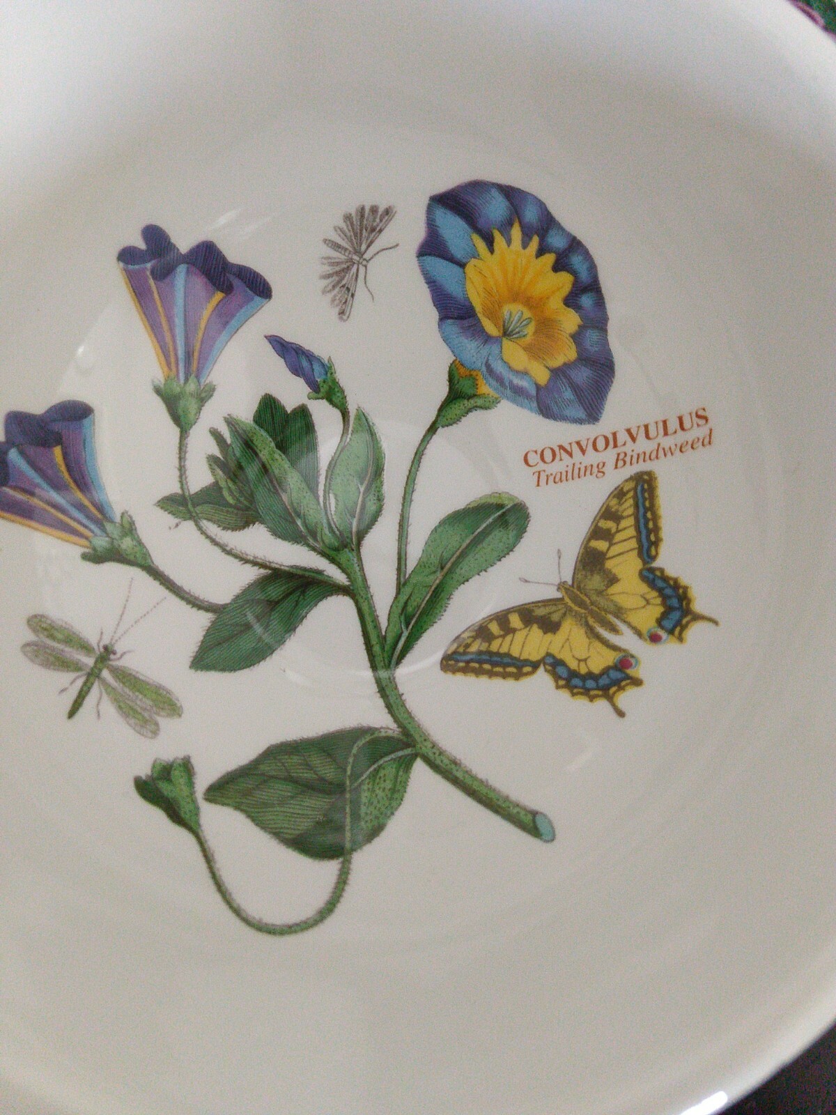 Portmeirion Botanical Garden 3 Cereal/Desert Bowls. 2 Daisy, 1 Trailing Bindweed