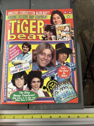 6/75 Tiger Beat magazine Freddie Prinze Mouseketeers Randy