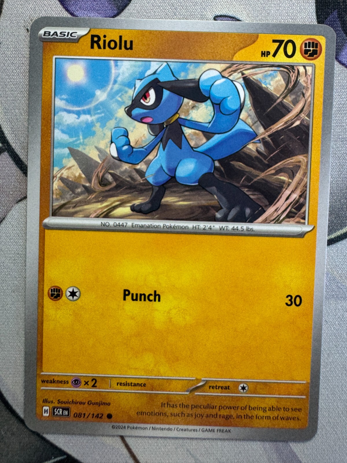 Riolu Non Holo English Pokemon TCG BKAA222 | eBay