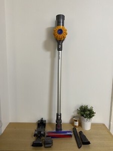 dyson fuzzy head