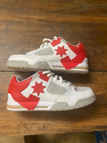dc command shoes