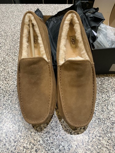 NEW!! UGG Men's Ascot Suede Slipper, Chestnut, SIZE 14, New In Box! 5775 M / CHE