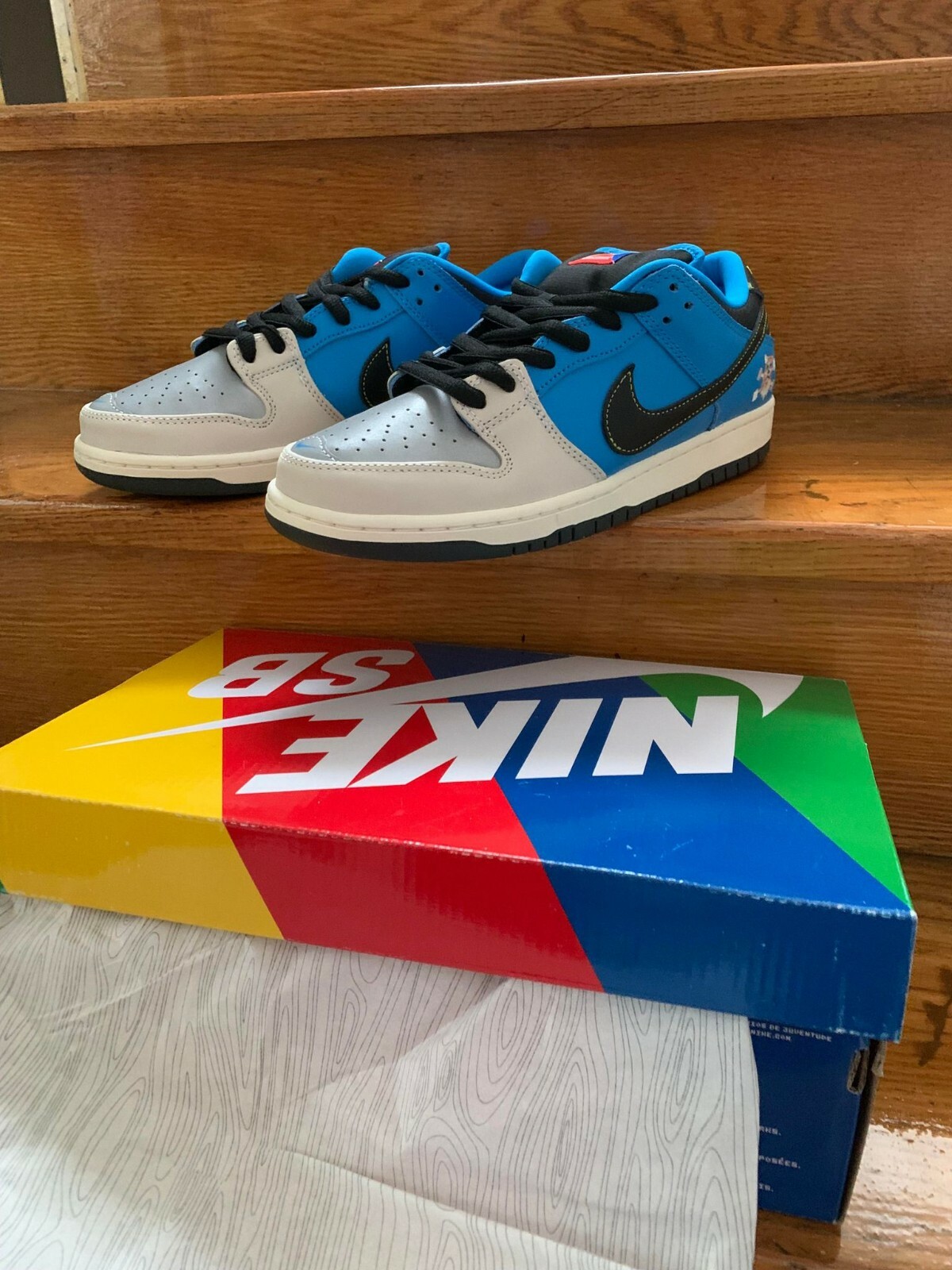 Nike SB Dunk Low Instant Skateboards Size 9 - Brand New