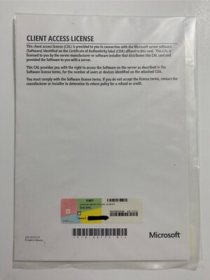 Windows Server 2019 - 10 DEVICE Client Access License CAL (not RDS) FOR DELL EMC
