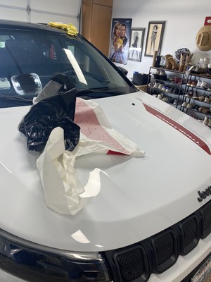 Artikelfoto(s) von einem verifizierten Käufer