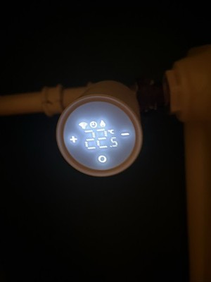Foto dell'oggetto di un acquirente verificato