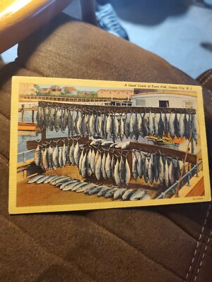 A Good Catch Of Tuna Fish, Ocean City New Jersey