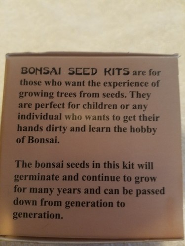 NEW Eve's Miniature Elm Bonsai Seed Kit Woody Complete to Grow from SHIPS FREE