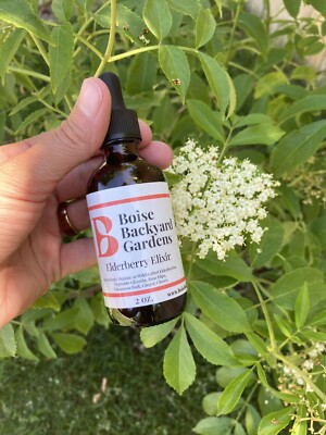 Elderberry Elixir - 2oz. Dropper Bottle. Glycerin base
