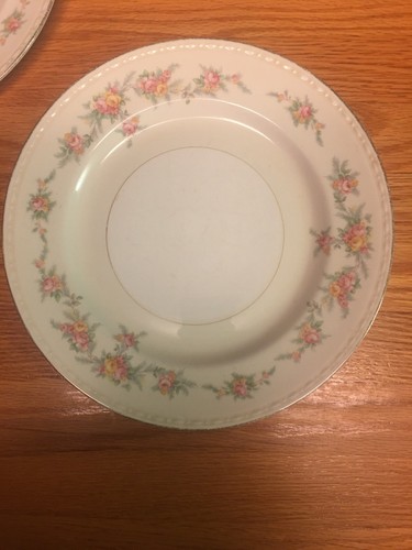 Homer Laughlin Eggshell Georgian Floral Dinner Plates 10