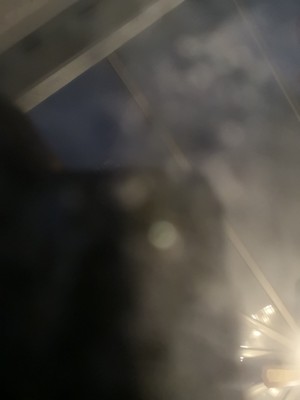 Specialized carbon Road Bike (L) and many extras