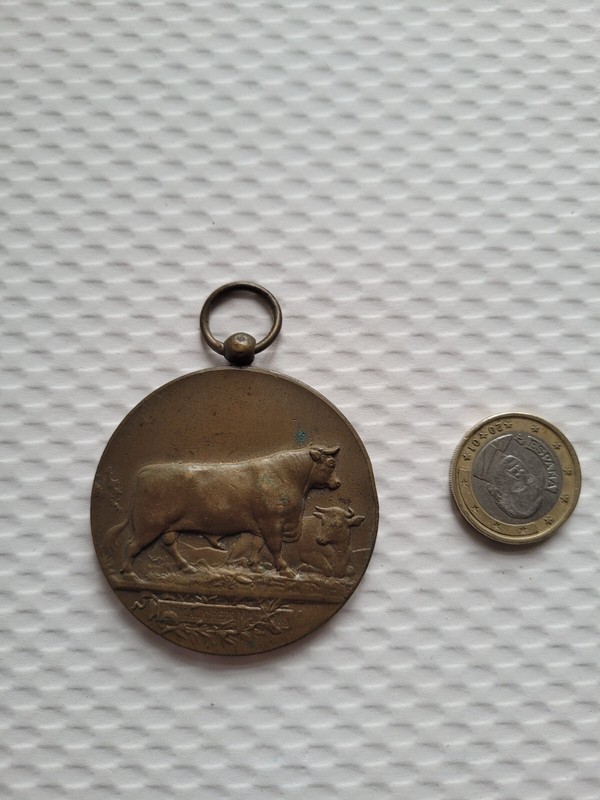 Ancienne MÃ©Daille Concours RÃ©Gional Lanhouarneau FinistÃ¨Re Animaux Reproducteurs