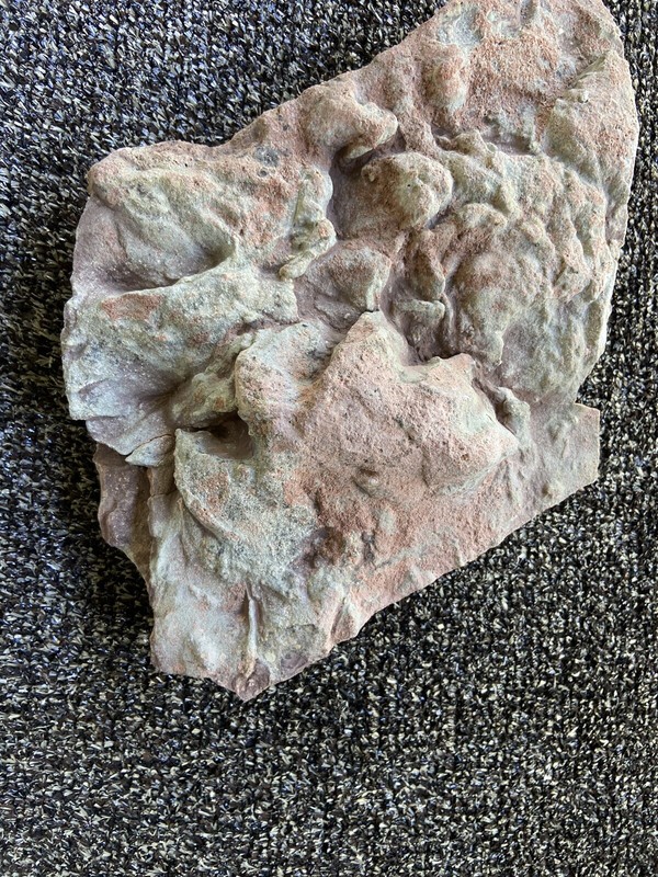 Rare Dinosaur Age Fossil Reptile Footprint Chirotherium. High Relief Raised