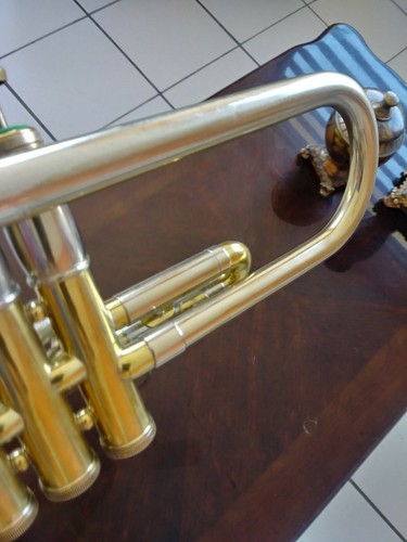 Berkeley ProfessionalTrumpet(TP612S)/Olds Especial Fullerton Trumpet(1959)