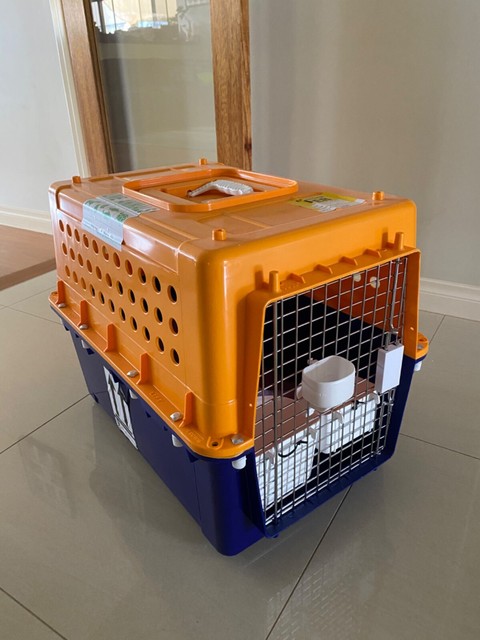 pp30 pet carrier
