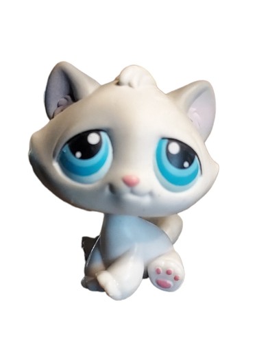 その他 Tiny gray kitten - cyclops $_12.JPG?set_id=880000500F