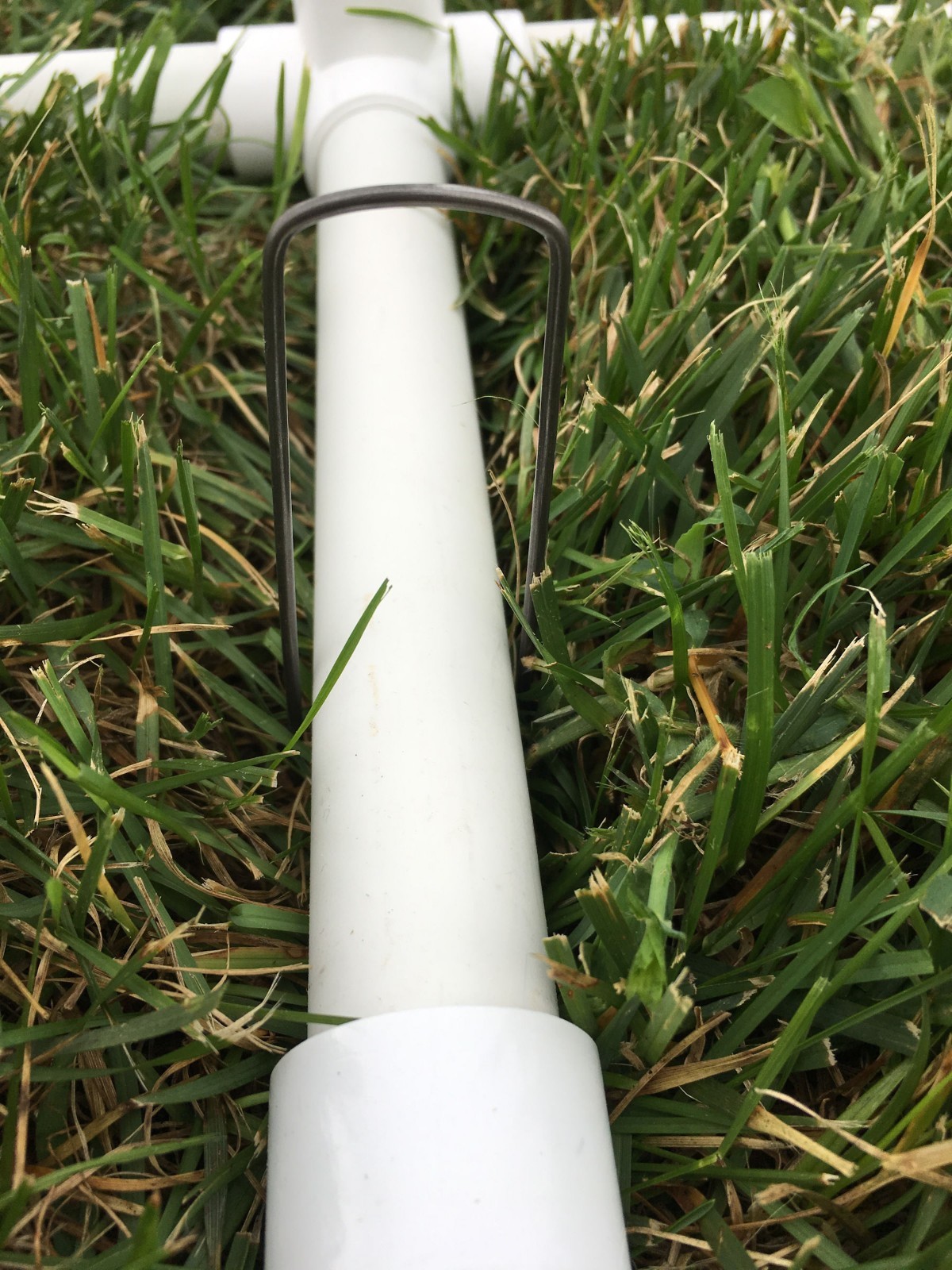 dog agility equipment weave poles - 6 poles, 1