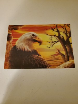 Unbranded - Bald Eagle 3D Poster - 13 5/8'' x 9 5/8''
