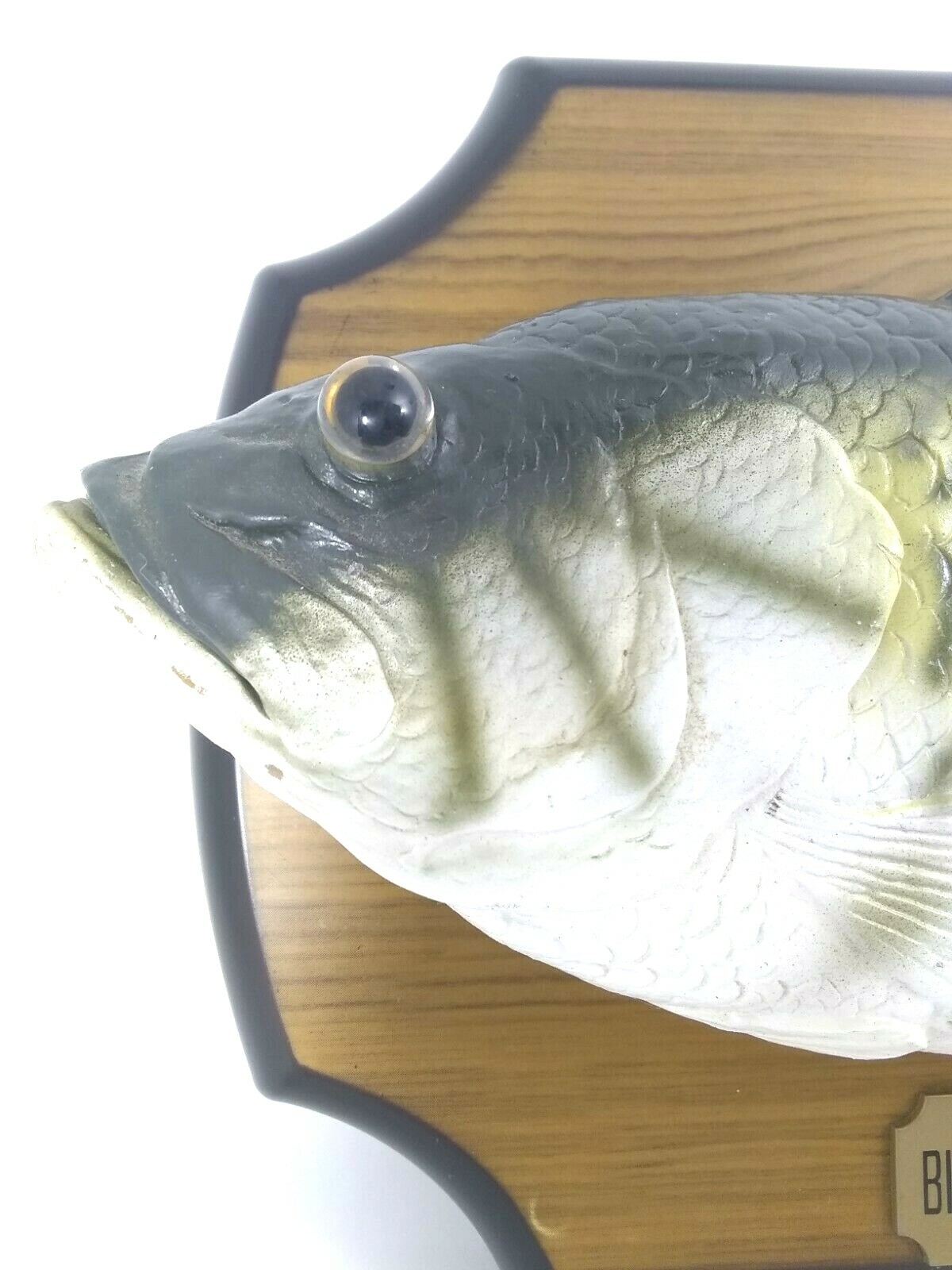 Big Mouth Billy Bass Singing Fish Gemmy Industries Inc 1999 Tested and Works