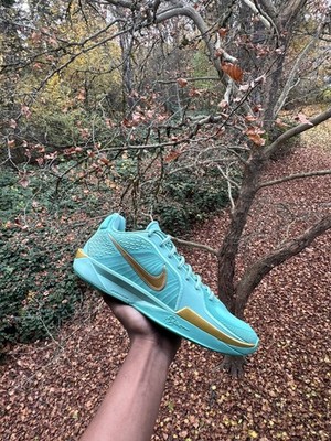 Foto dell'oggetto di un acquirente verificato